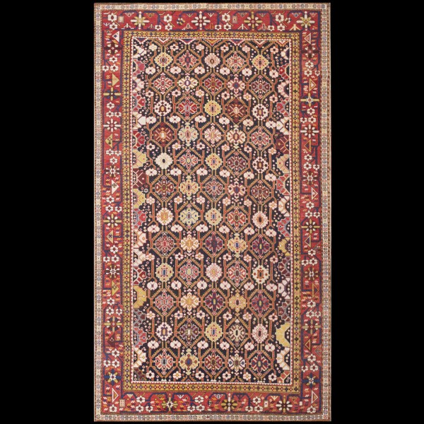 Caucasian - Shirvan #40-2811